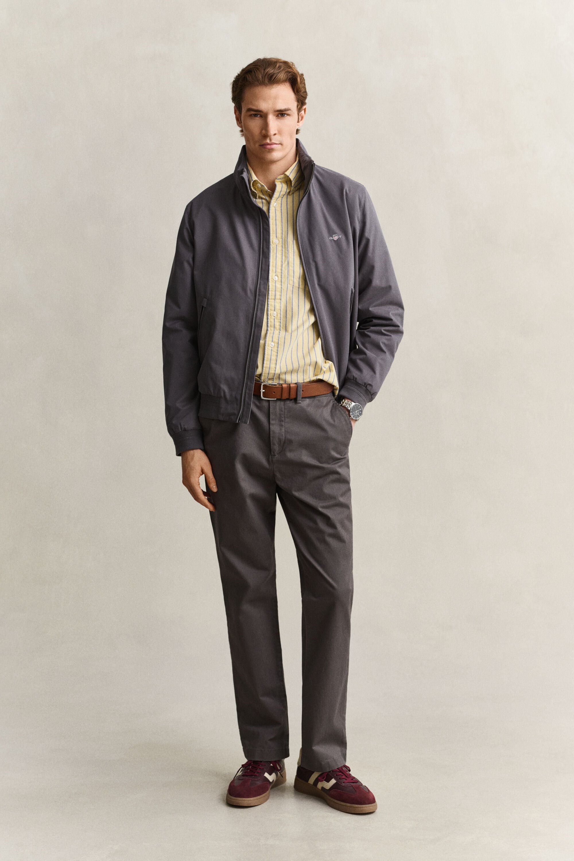 Camisa Oxford clásica a rayas