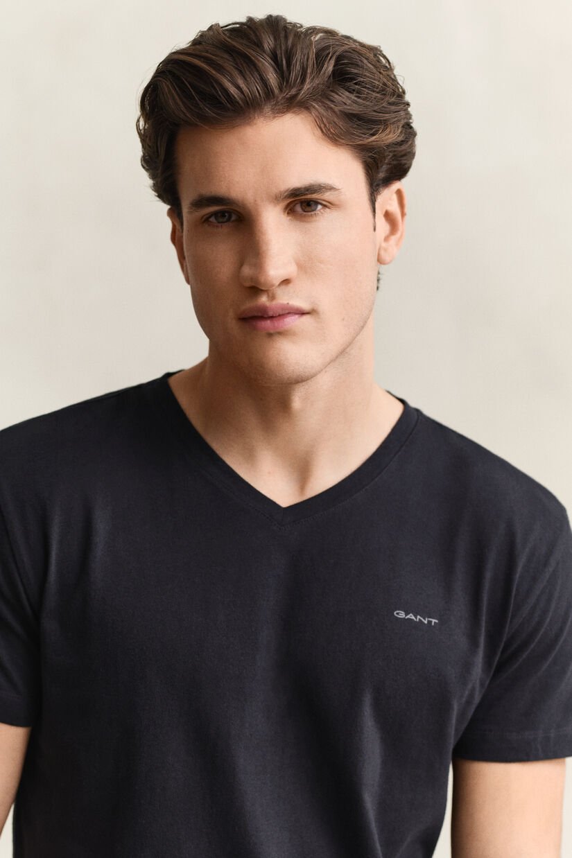 Paquete de dos camisetas de cuello de pico