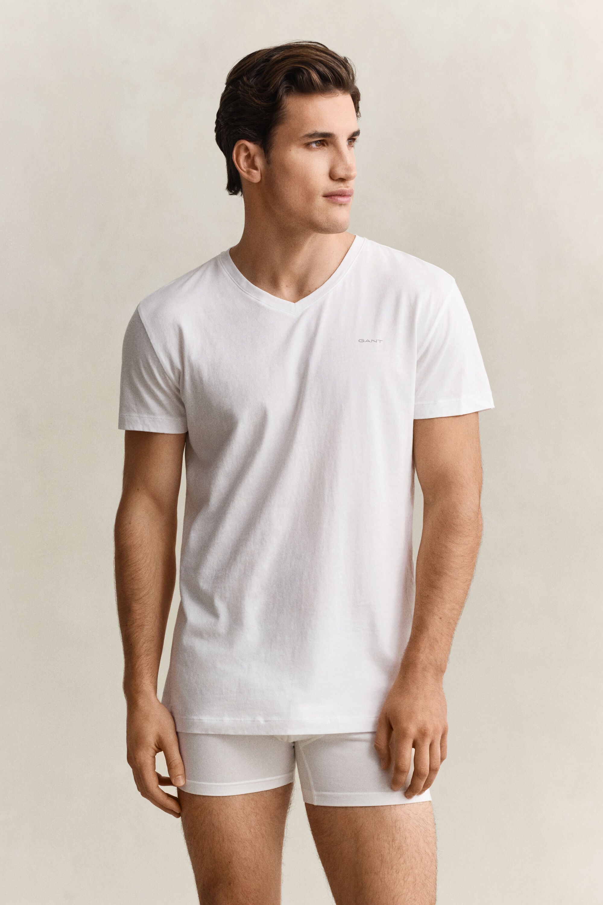 Paquete de dos camisetas de cuello de pico
