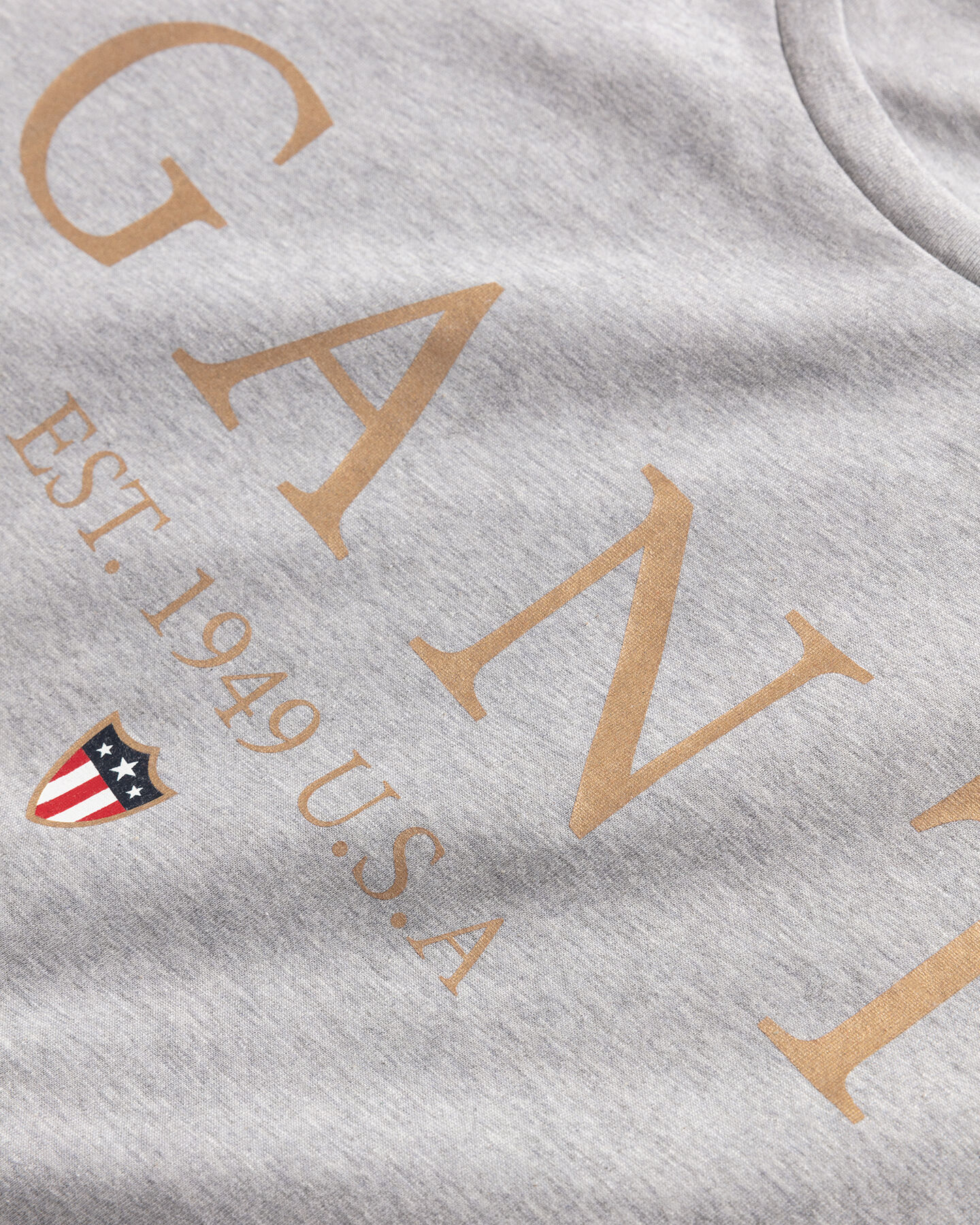 Camiseta Banner Shield Graphic