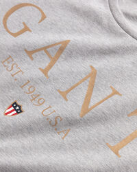 Camiseta Banner Shield Graphic