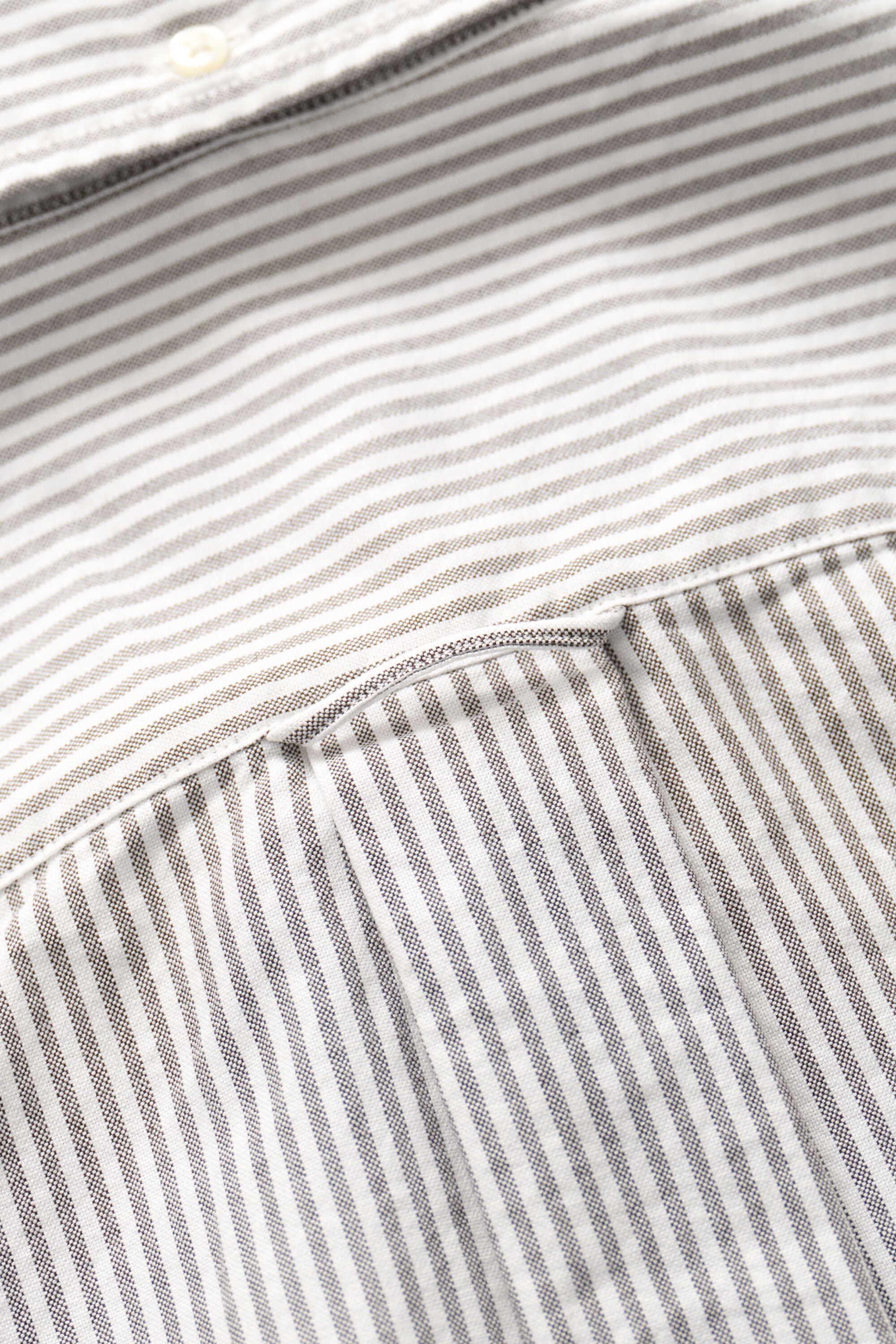 Camisa Oxford Regular Fit clásica de rayas