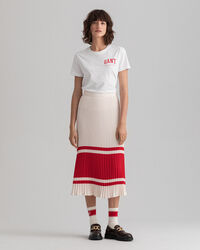 Falda plisada a rayas