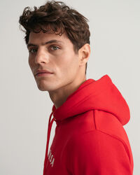 Sudadera con capucha Banner Shield