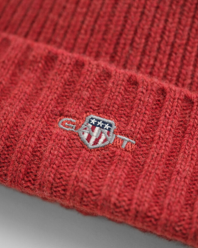 Gorro de lana Shield