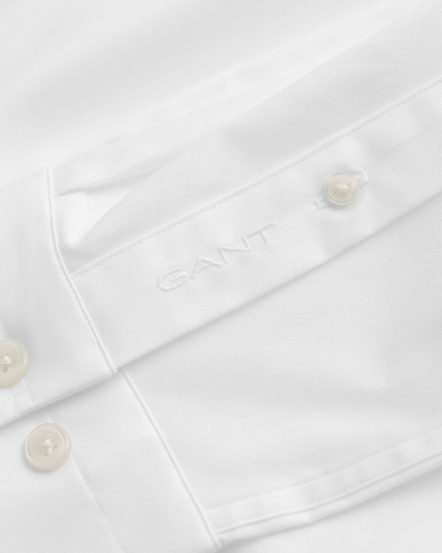 Camisa Oxford Pinpoint Regular Fit