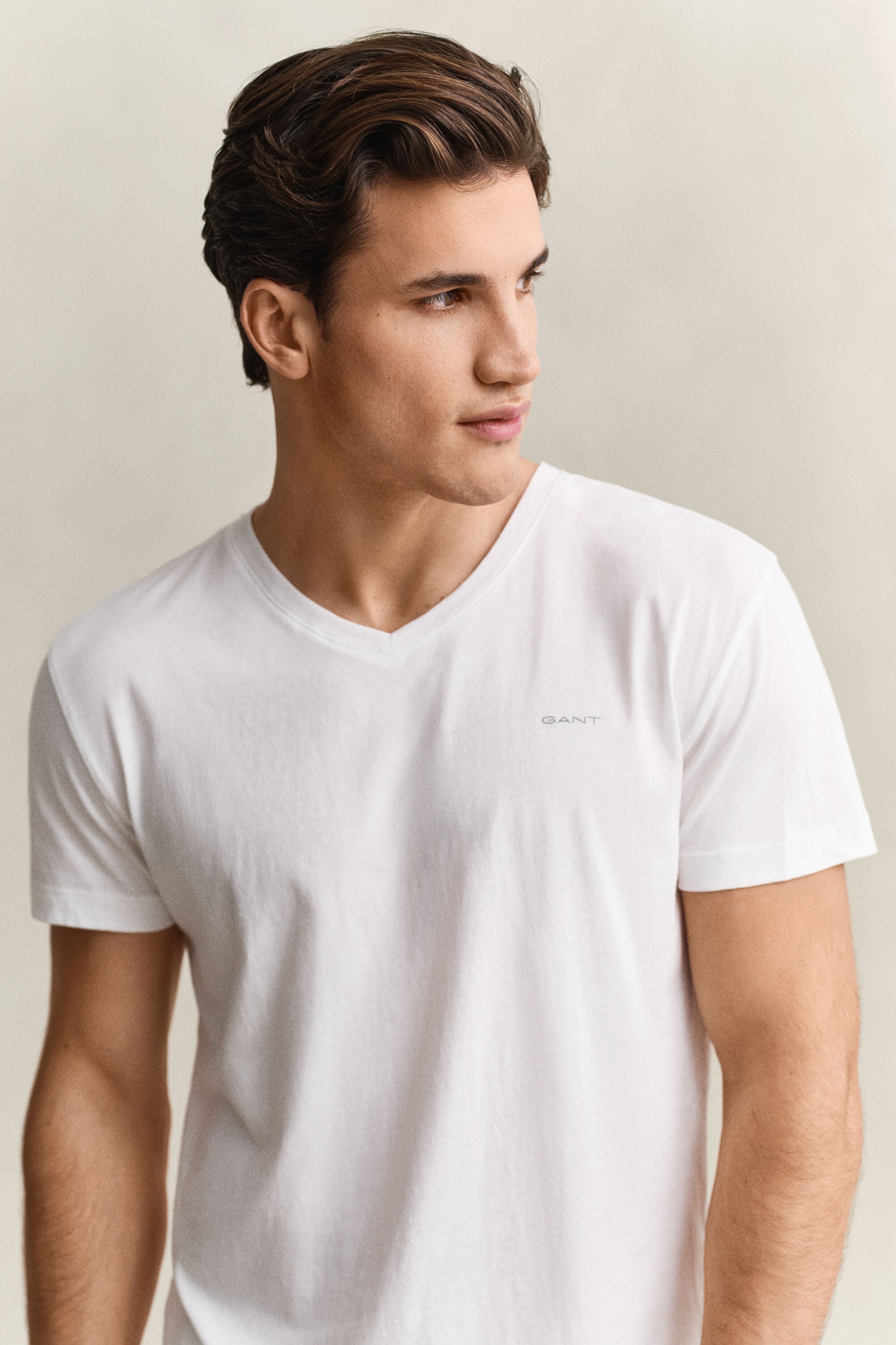 Paquete de dos camisetas de cuello de pico